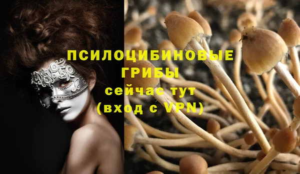 МДПВ Алзамай