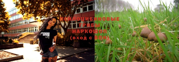 МДПВ Алзамай