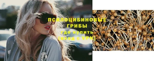 МДПВ Алзамай