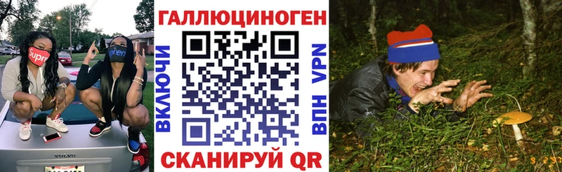 МЕГА ТОР  купить наркоту  Далматово  Галлюциногенные грибы Magic Shrooms 